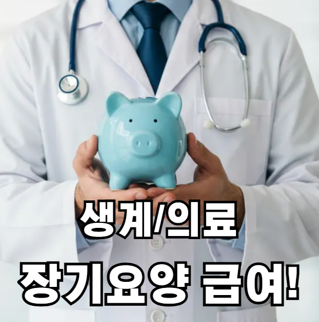 생계 의료 장기요양 급여 정리