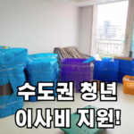 수도권 청년 이사비 지원