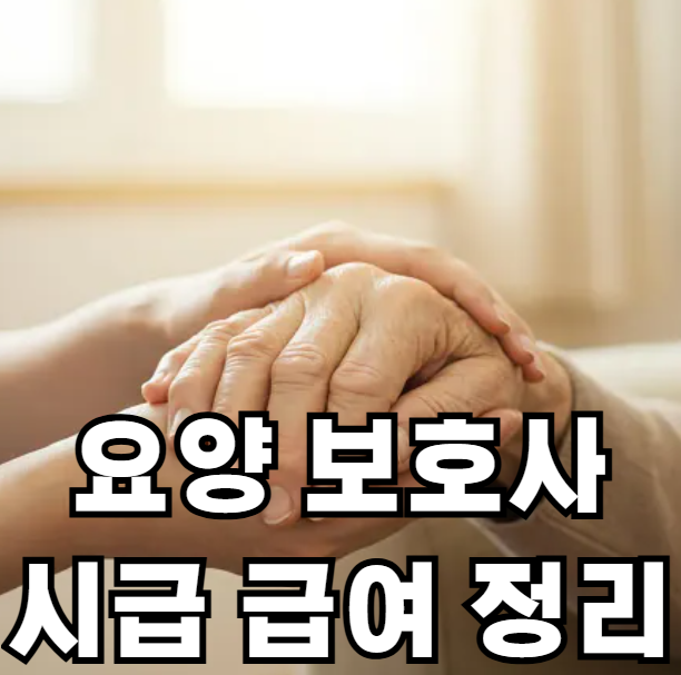 요양 보호사 시급