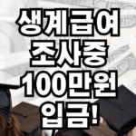생계급여 조사중 100만원 오입금