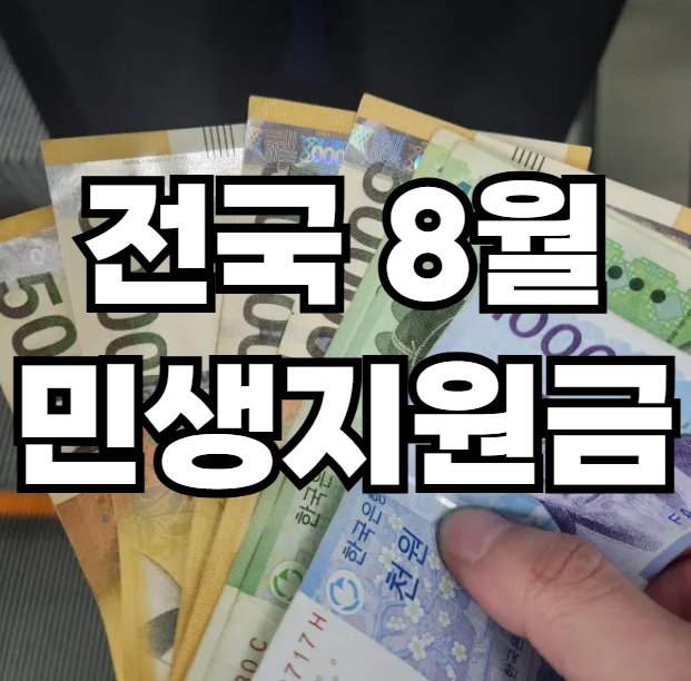 전국 8월 민생지원금 현황